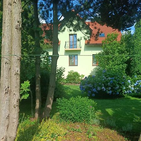 Pod Modrzewiami Apartment Миловка Екстериор снимка