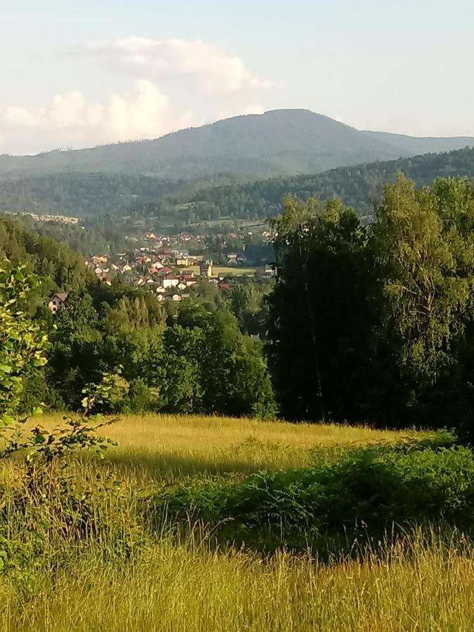 Pod Modrzewiami Apartment Миловка Екстериор снимка
