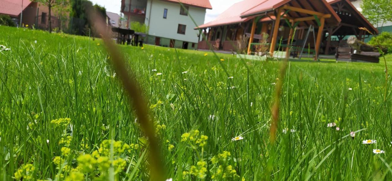 Pod Modrzewiami Apartment Миловка Екстериор снимка