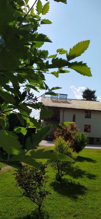Pod Modrzewiami Apartment Миловка Екстериор снимка