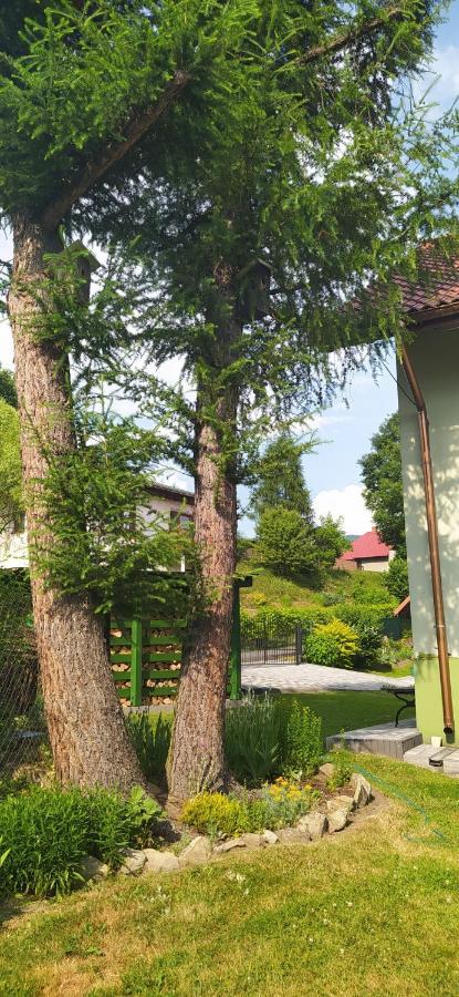 Pod Modrzewiami Apartment Миловка Екстериор снимка
