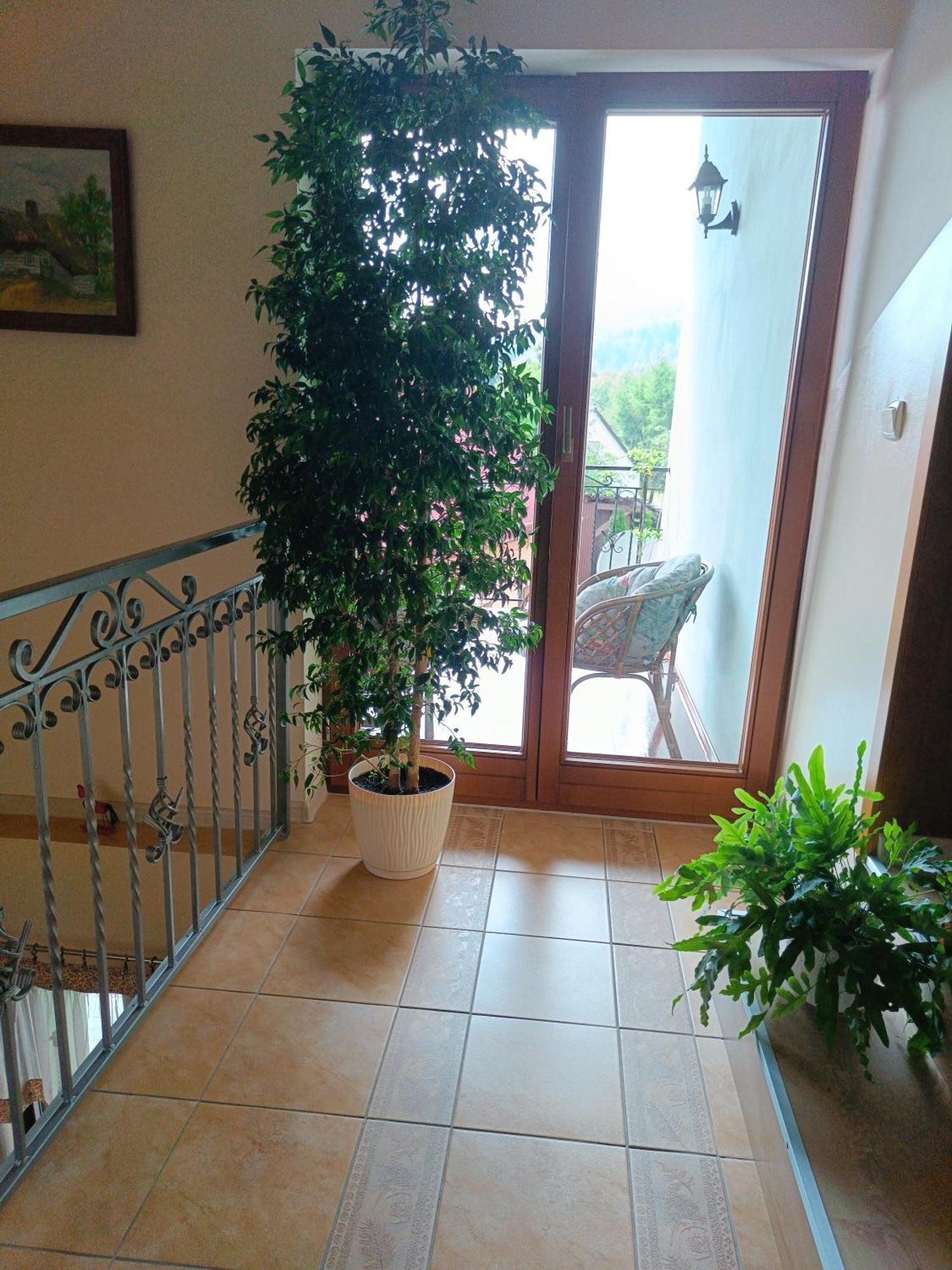 Pod Modrzewiami Apartment Миловка Екстериор снимка